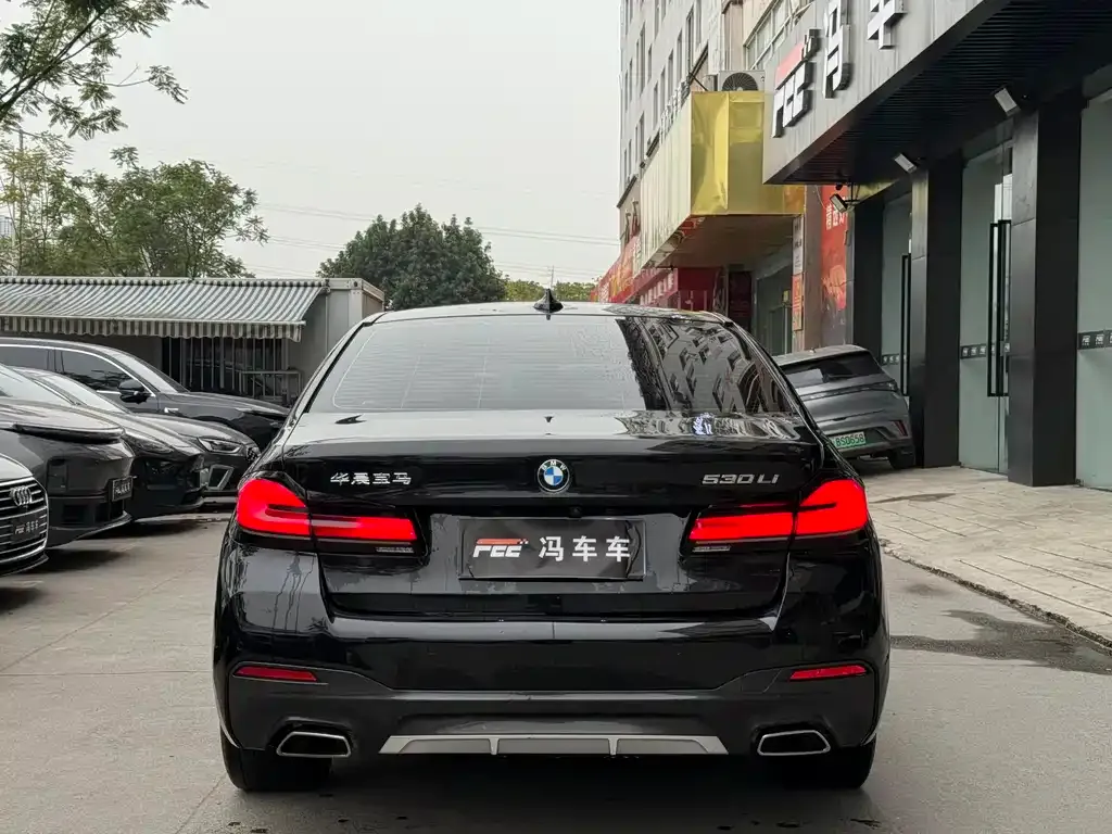 BMW 5 Series 2022 из CN, фото 9