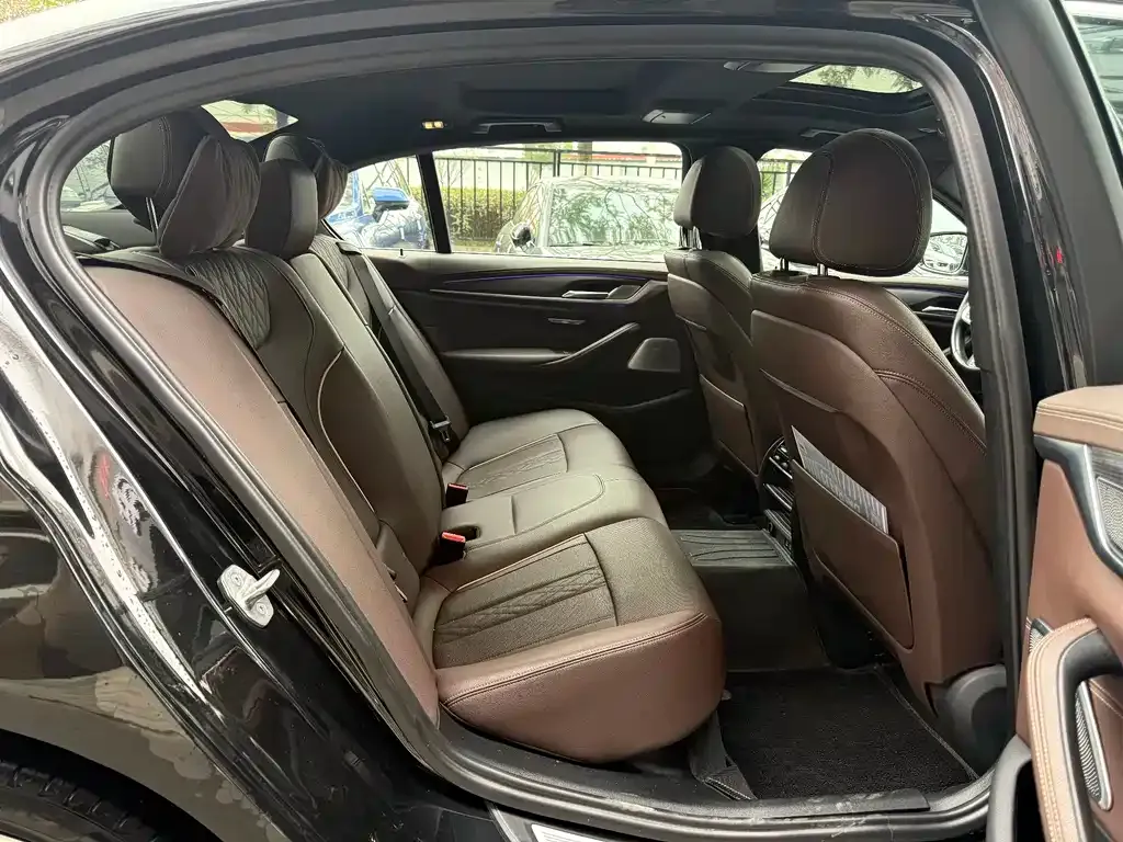BMW 5 Series 2022 из CN, фото 5