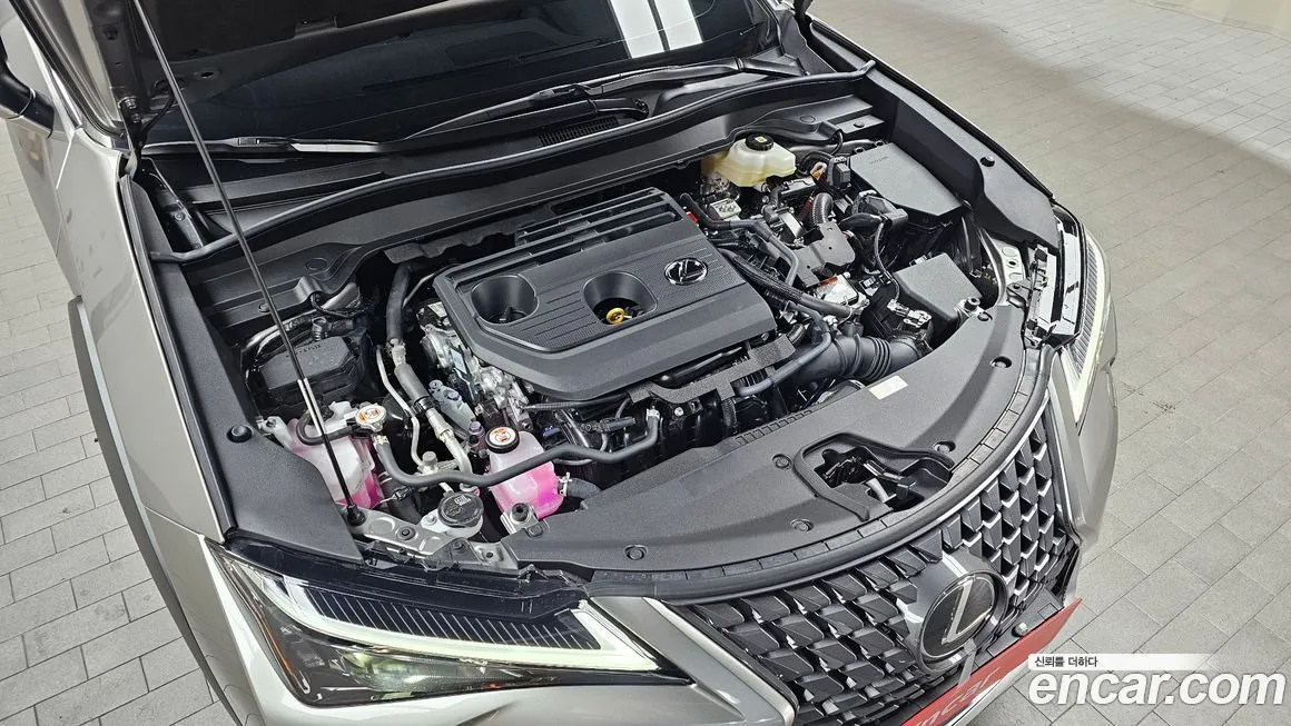 Lexus UX 2026 из KR, фото 6