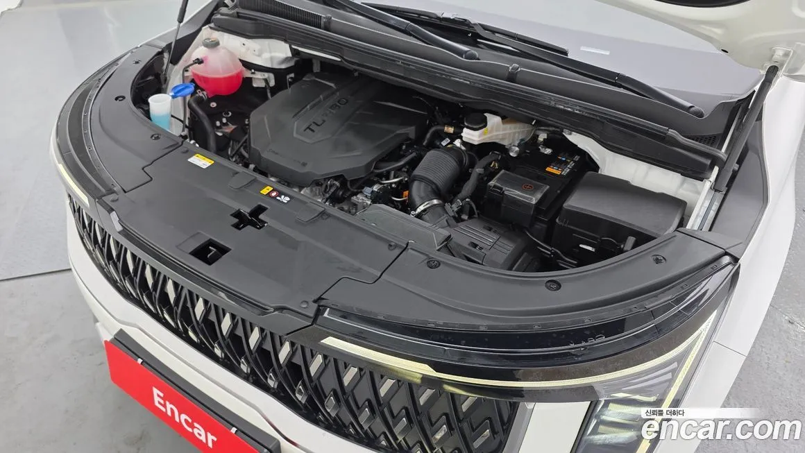 Kia Carnival — фото 10