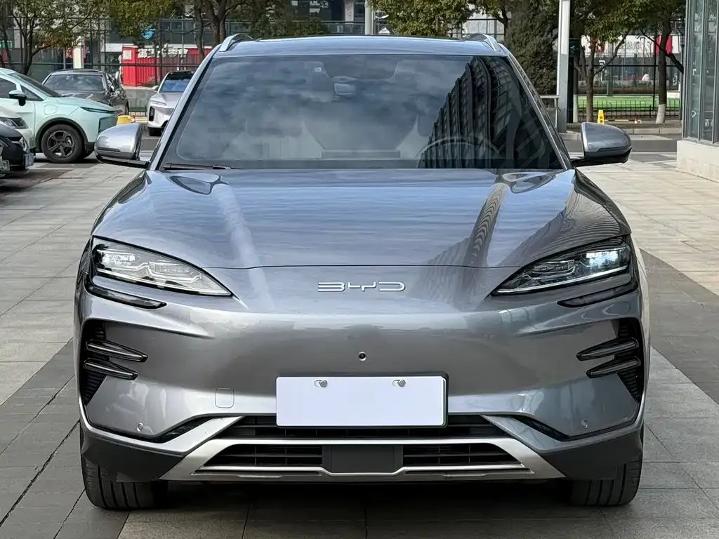 BYD PLUS New Energy 2023 из CN, фото 6