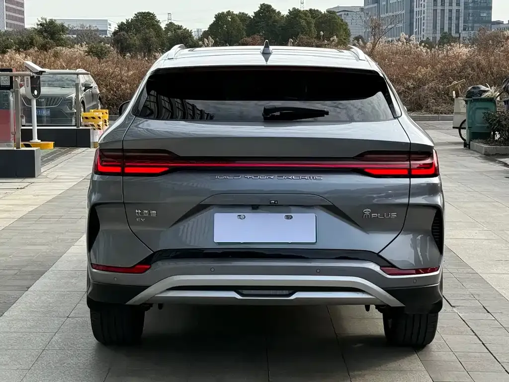 BYD PLUS New Energy 2023 из CN, фото 7