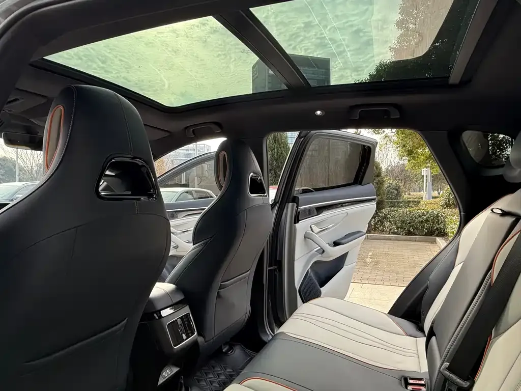 BYD PLUS New Energy 2023 из CN, фото 10