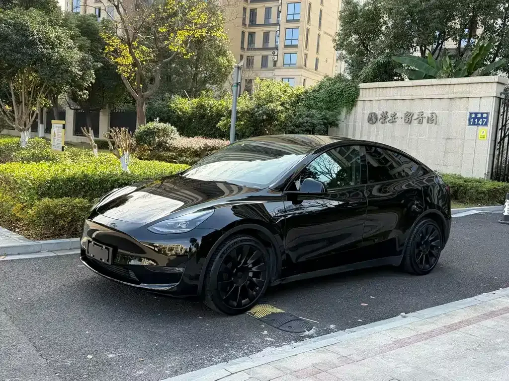 Tesla Model Y — фото 1