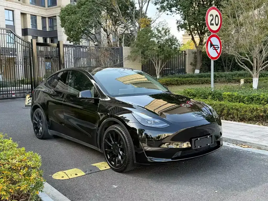 Tesla Model Y — фото 2