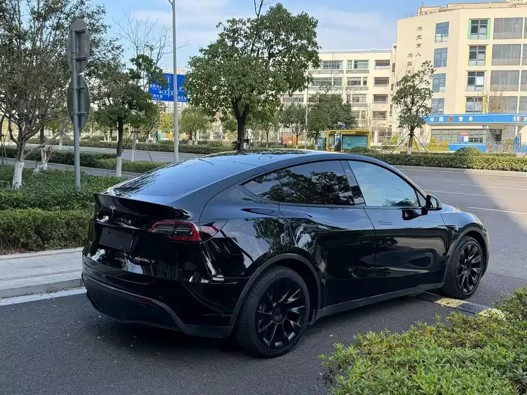 Tesla Model Y — фото 4