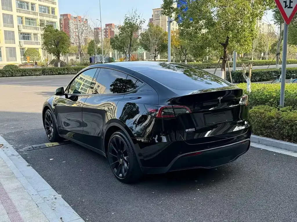 Tesla Model Y — фото 5