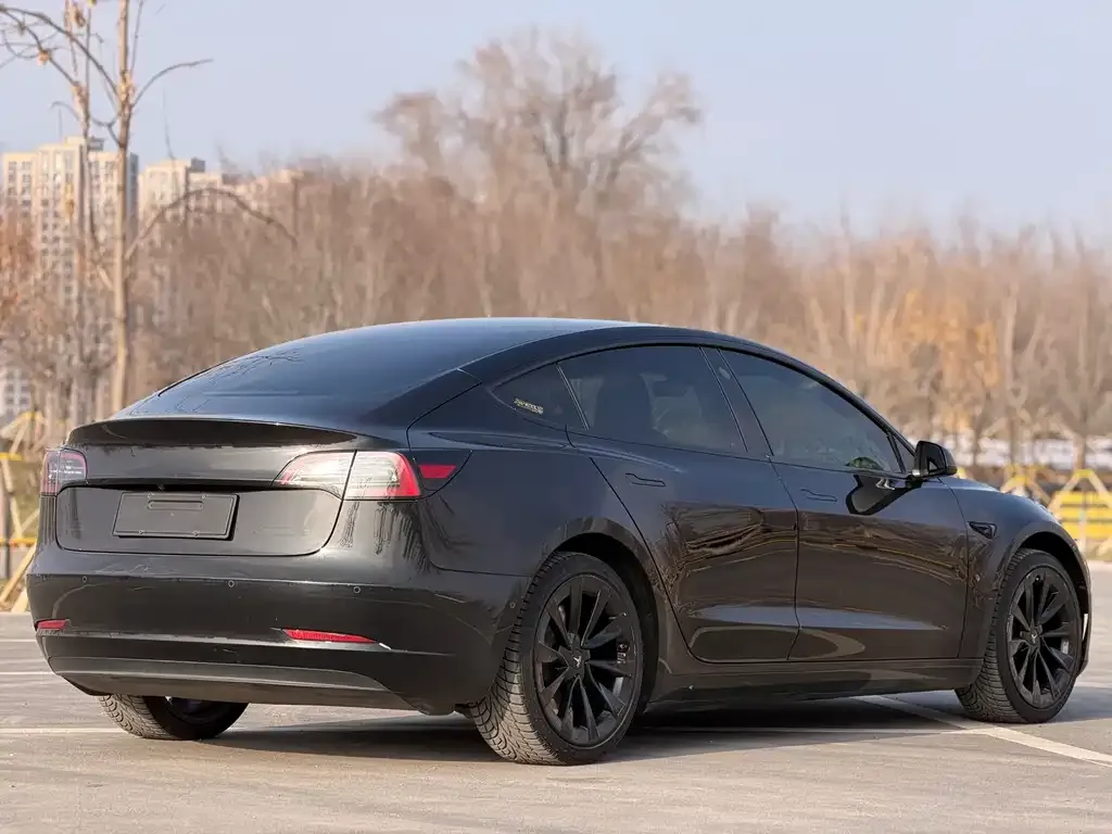 Tesla Model 3 2023 из CN, фото 10