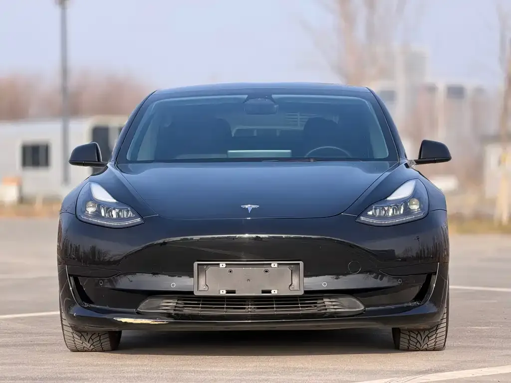 Tesla Model 3 2023 из CN, фото 2