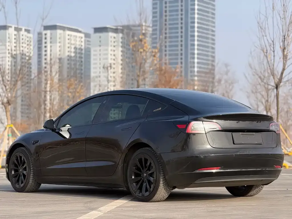 Tesla Model 3 2023 из CN, фото 4