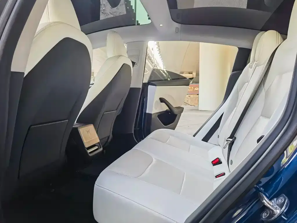 Tesla Model 3 2023 из CN, фото 4