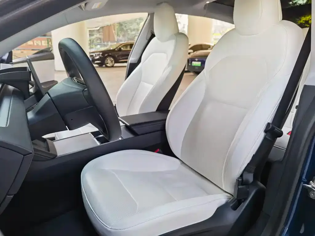 Tesla Model 3 2023 из CN, фото 2
