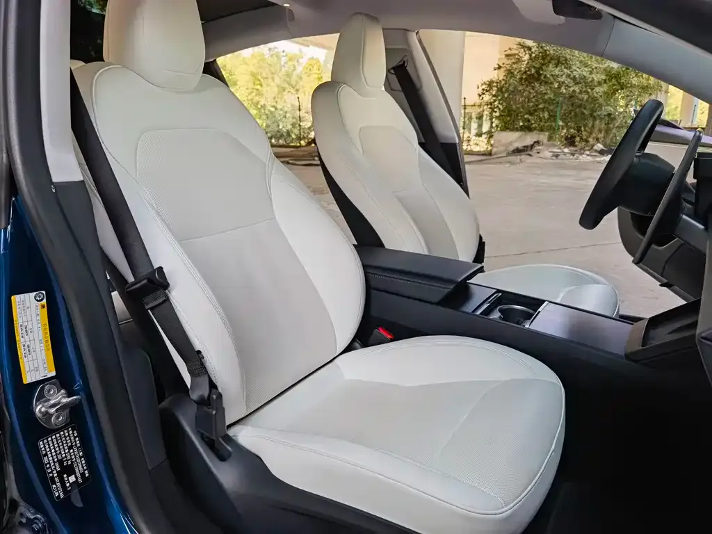 Tesla Model 3 2023 из CN, фото 5