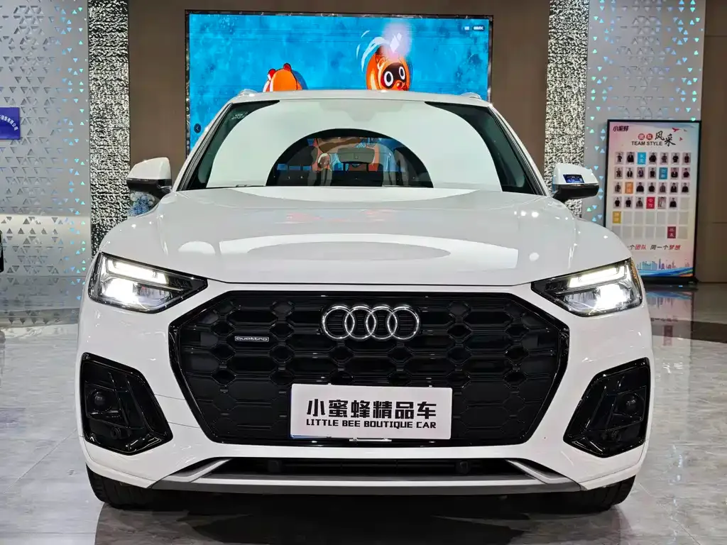 Audi Q5L 2021 из CN, фото 9