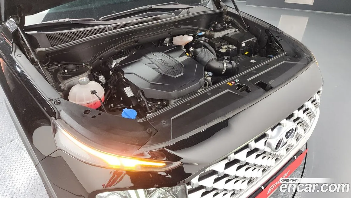 Hyundai Santafe 2021 из KR, фото 6