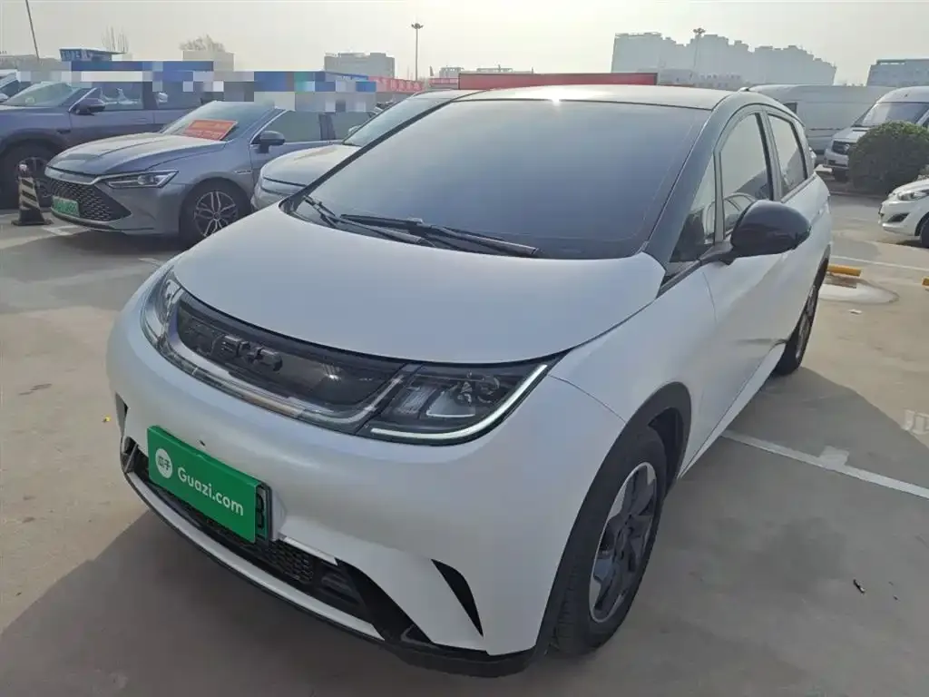 BYD Dolphin 2024 из CN, фото 1