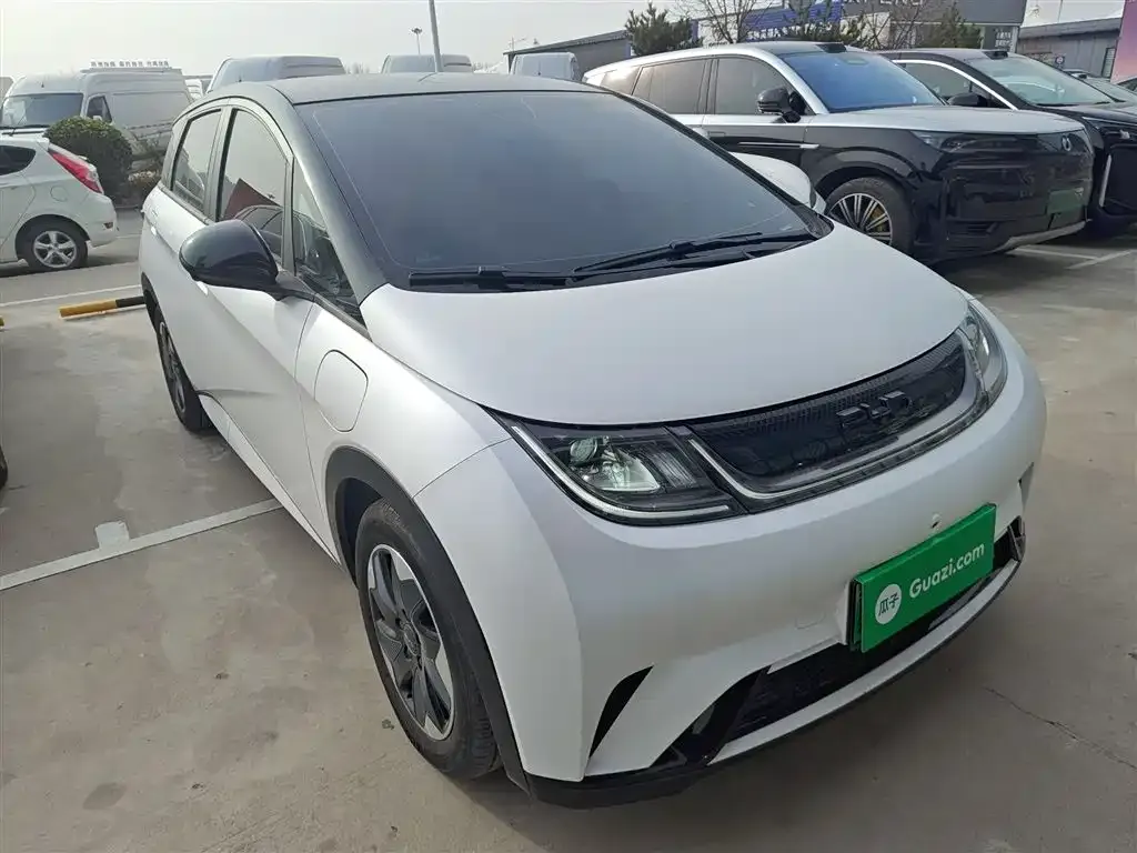 BYD Dolphin 2024 из CN, фото 10