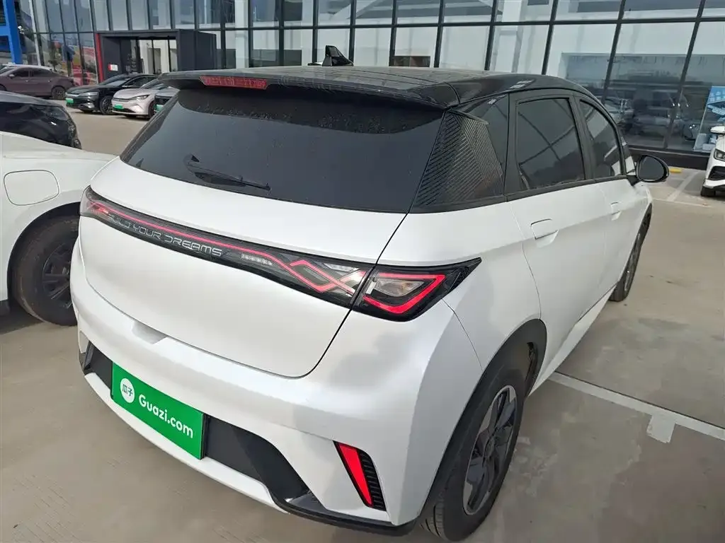 BYD Dolphin 2024 из CN, фото 6