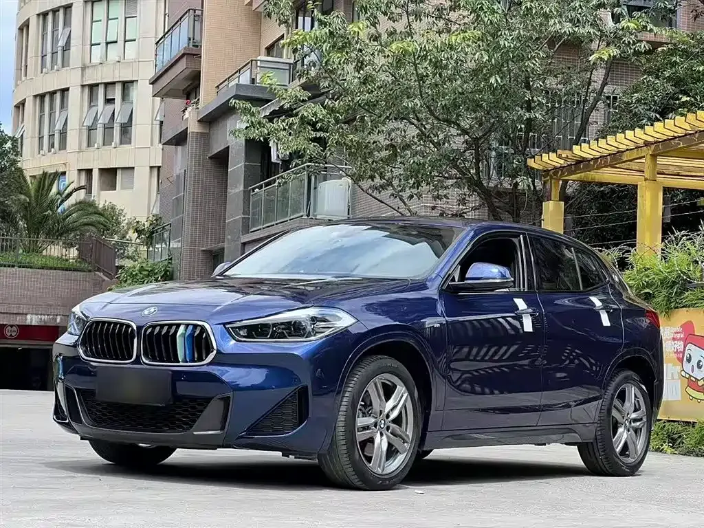 BMW X2 2021 из CN, фото 2