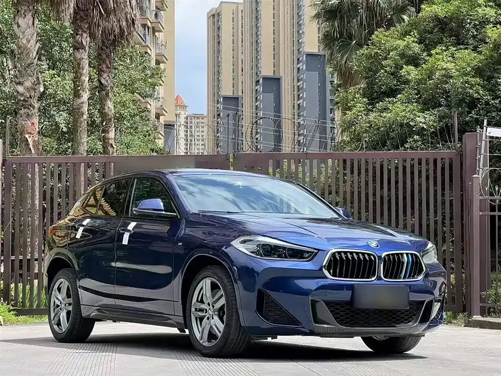 BMW X2 2021 из CN, фото 4
