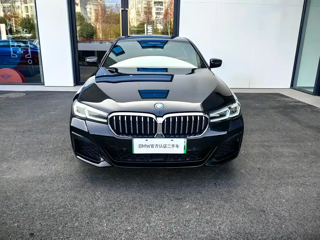 BMW 5 Series New Energy — фото 10