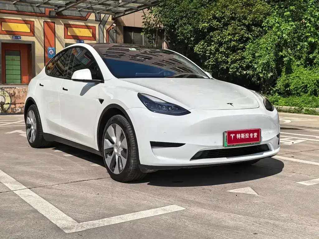 Tesla Model Y 2023 из CN, фото 3