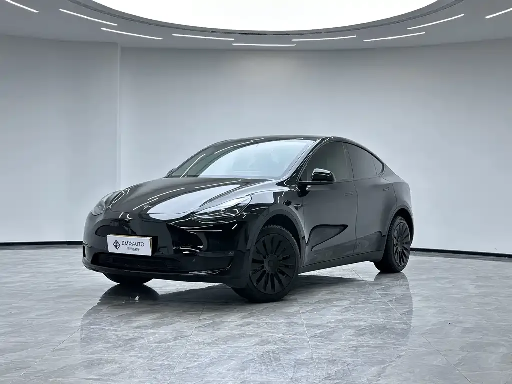 Tesla Model Y 2023 из CN, фото 1