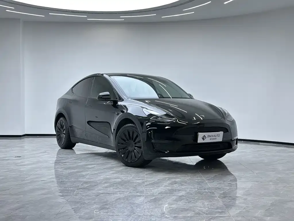 Tesla Model Y 2023 из CN, фото 3