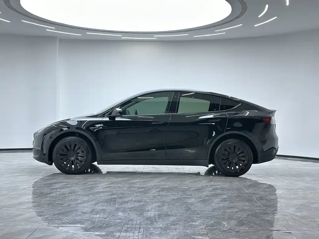 Tesla Model Y 2023 из CN, фото 6