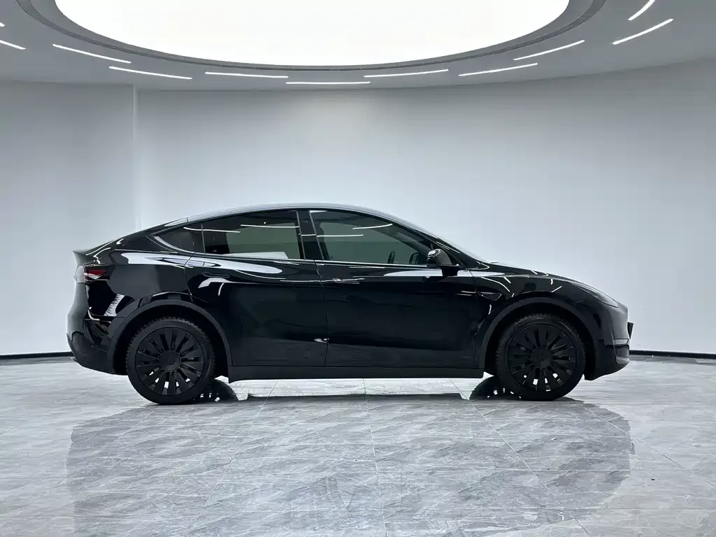 Tesla Model Y 2023 из CN, фото 7