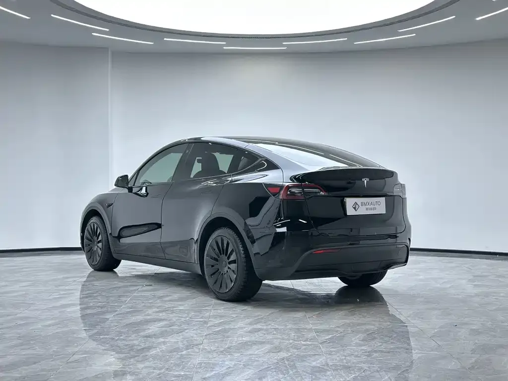 Tesla Model Y 2023 из CN, фото 8