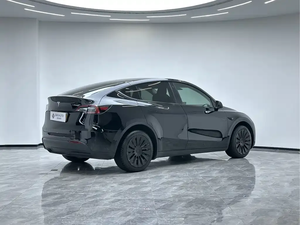 Tesla Model Y 2023 из CN, фото 4
