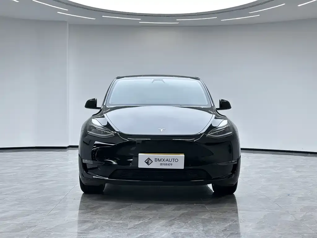 Tesla Model Y 2023 из CN, фото 2