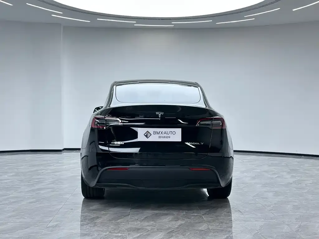 Tesla Model Y 2023 из CN, фото 5