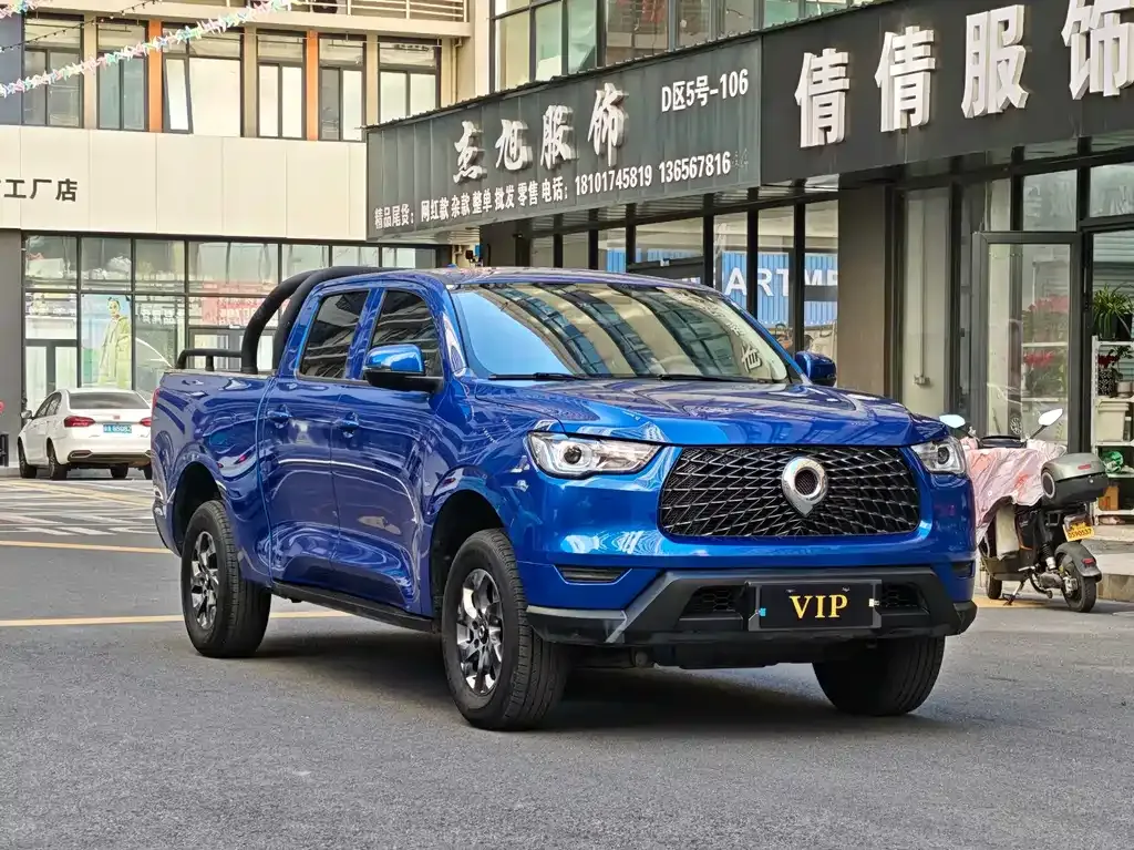 Great Wall Pao 2022 из CN, фото 3