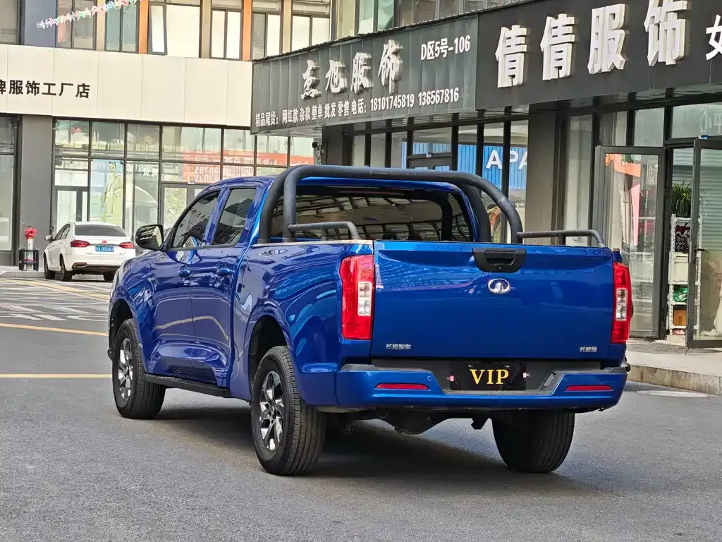Great Wall Pao 2022 из CN, фото 7