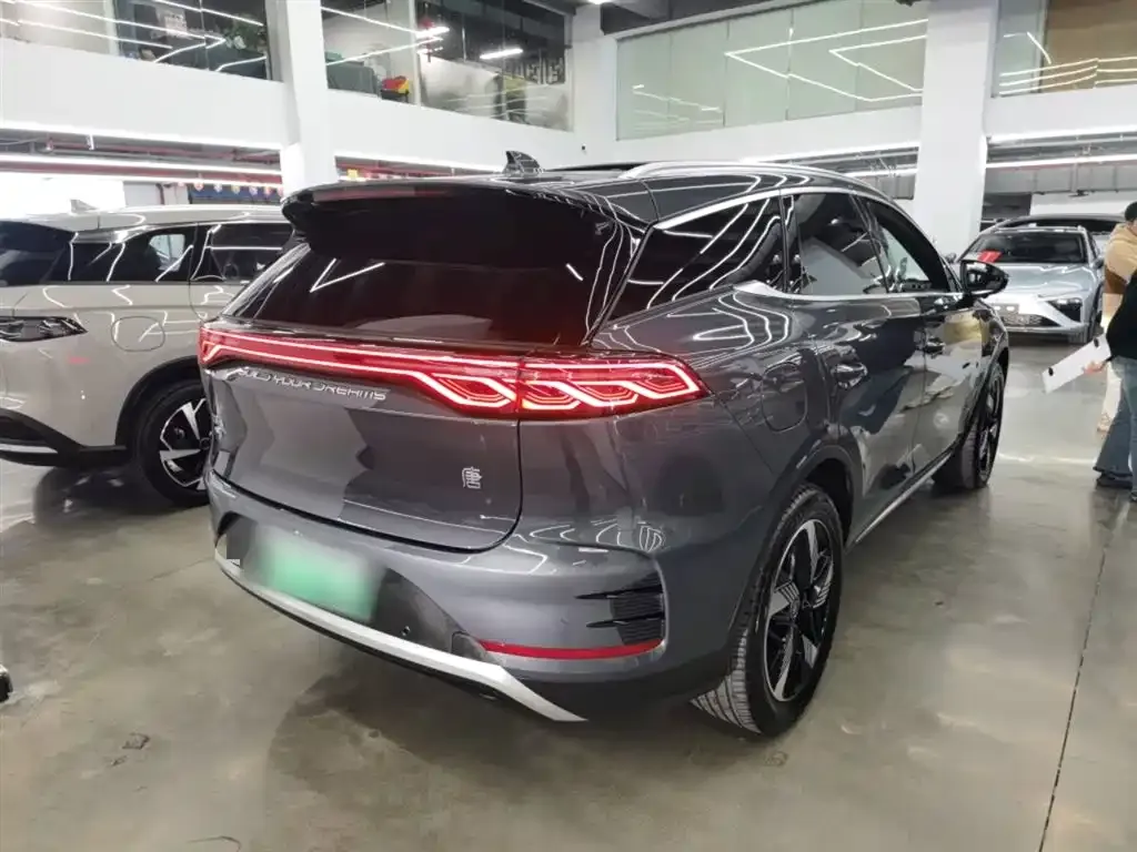 BYD Tang New Energy 2024 из CN, фото 10