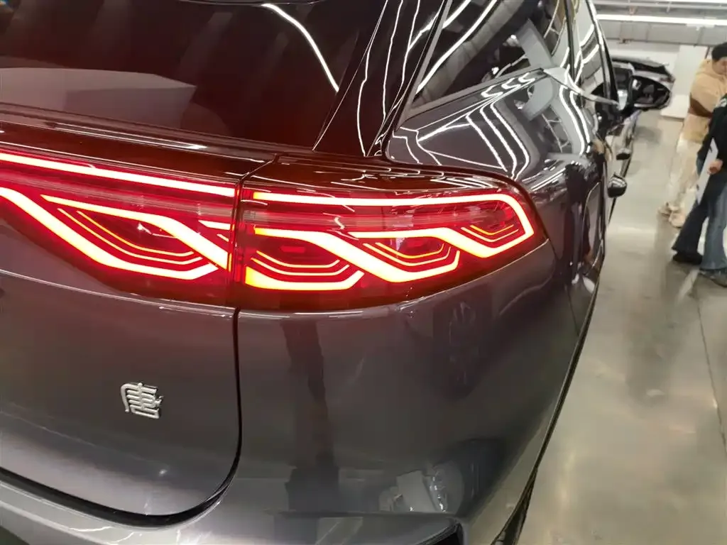 BYD Tang New Energy 2024 из CN, фото 5