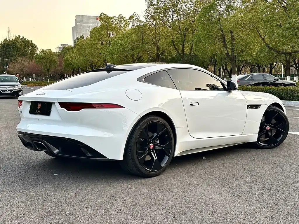 Jaguar F-TYPE 2021 из CN, фото 7