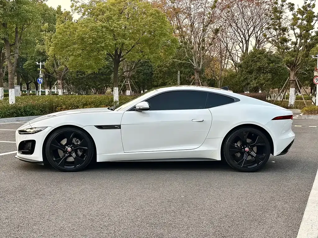 Jaguar F-TYPE 2021 из CN, фото 9