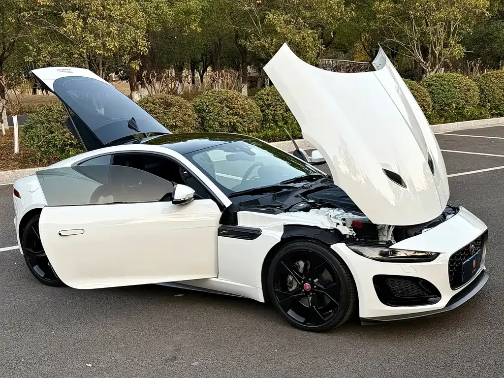 Jaguar F-TYPE 2021 из CN, фото 10