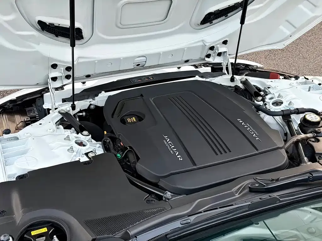 Jaguar F-TYPE 2021 из CN, фото 5