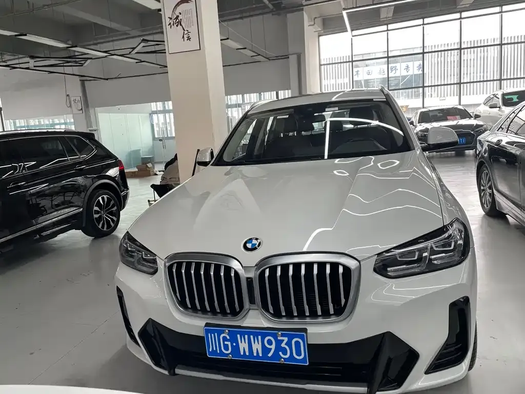 BMW X3 2023 из CN, фото 7