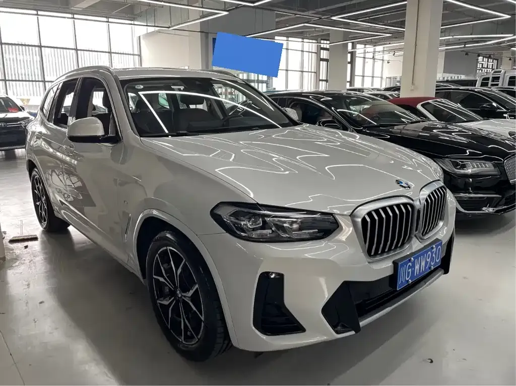BMW X3 2023 из CN, фото 10