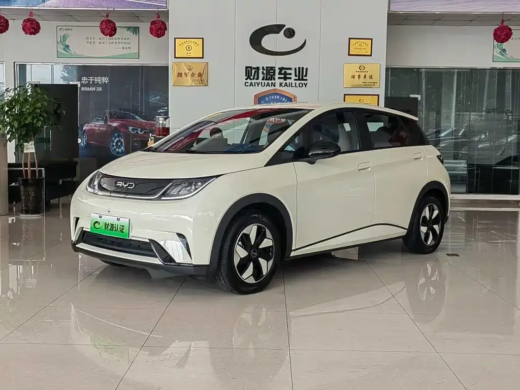 BYD Dolphin 2025 из CN, фото 1