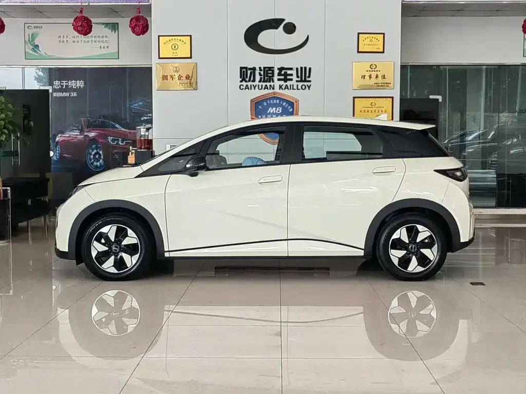 BYD Dolphin 2025 из CN, фото 3