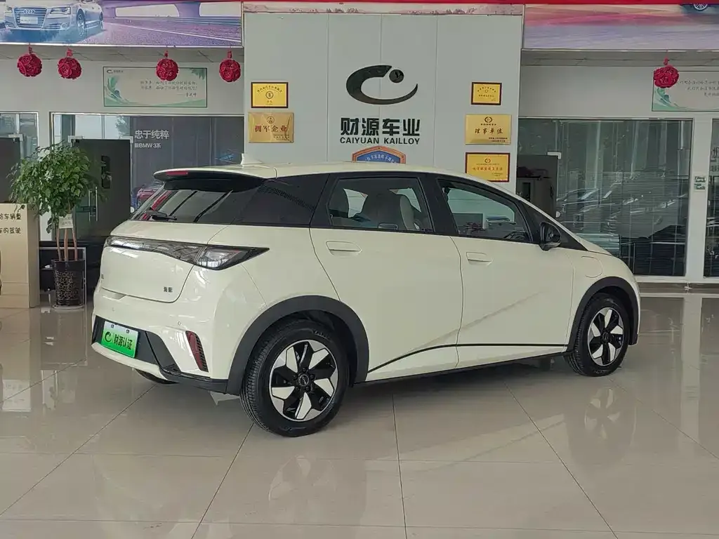 BYD Dolphin 2025 из CN, фото 4