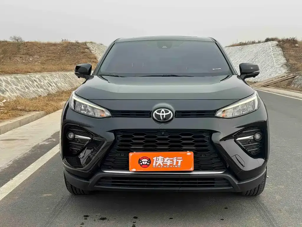 Toyota Wildlander 2021 из CN, фото 6