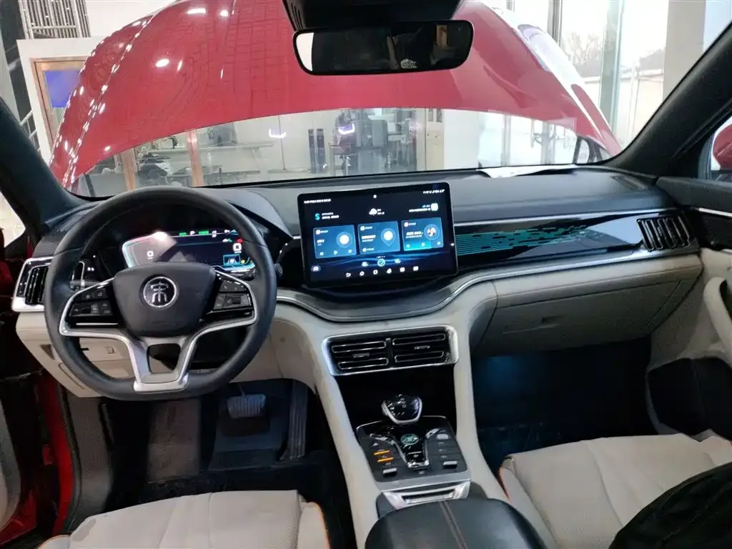 BYD PLUS New Energy 2022 из CN, фото 10
