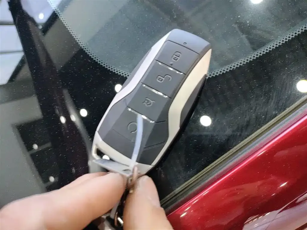 BYD PLUS New Energy 2022 из CN, фото 9